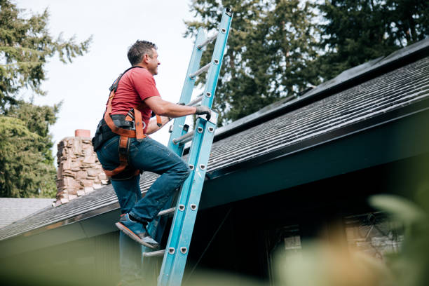 Best Roof Moss and Algae Removal  in Denair, CA